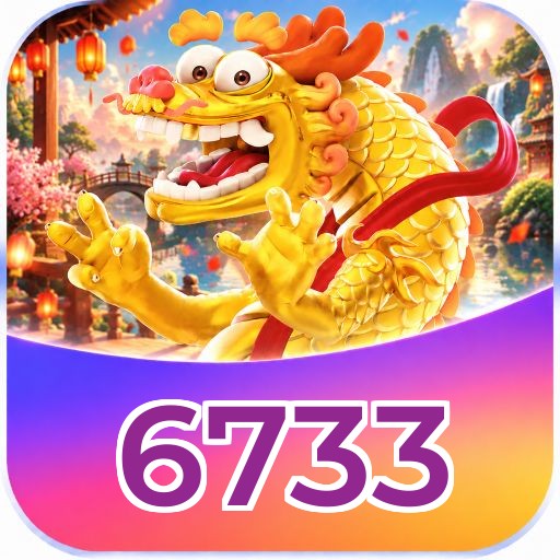6733 Installation Guide