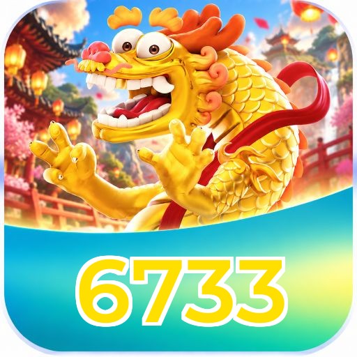 6733 Interface